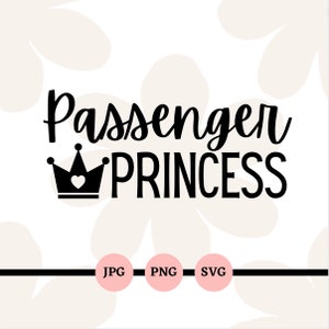 Combo 3Pcs Passenger Princess Colorful Sticker Passenger Princess Style Ver  11