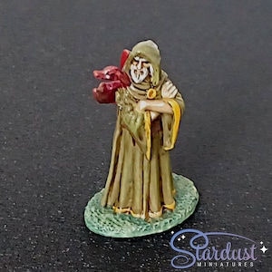 Dragon Tamer - handpainted tabletop rpg miniature for DnD gaming