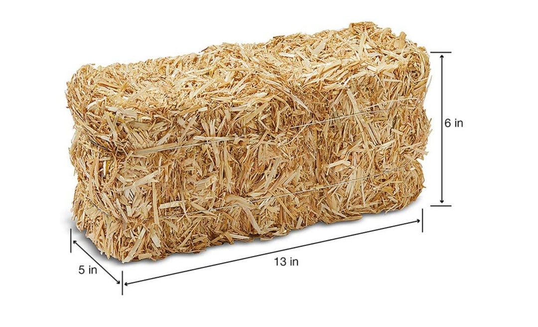STRAW BALE 5 Inch X 6 Inch X 13 Inch Natural Fresh Straw for Feral Cat