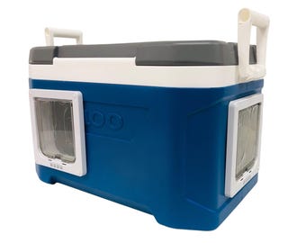 Insulated Feral Cat Shelter, Two Doors, Igloo Cooler