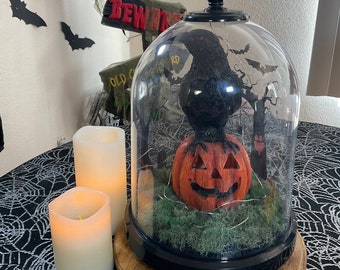 Crow on Jack o lantern with LED lights in cloche