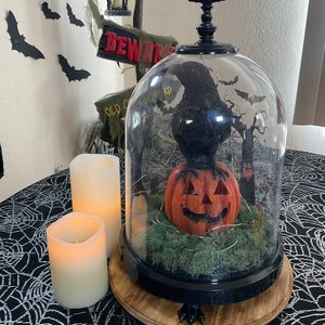 Crow on Jack o lantern with LED lights in cloche