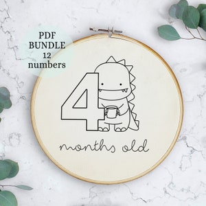 Anuncio de nacimiento y recién nacido, accesorio de fotografía para recién nacidos, regalo de baby shower, hito mensual del bebé, patrón de bordado a mano, patrón de dinosaurio