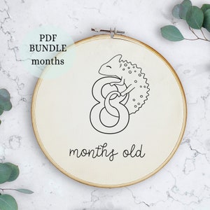 Hitos florales para bebés, aros de 6 pulgadas, patrón de bordado, 12 patrones en total, accesorios para el embarazo, accesorios para fotografía de recién nacidos, regalo de baby shower DIY