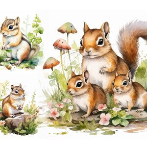 9 Watercolor Chipmunk Clipart Watercolor Woodland Animal Digital ...