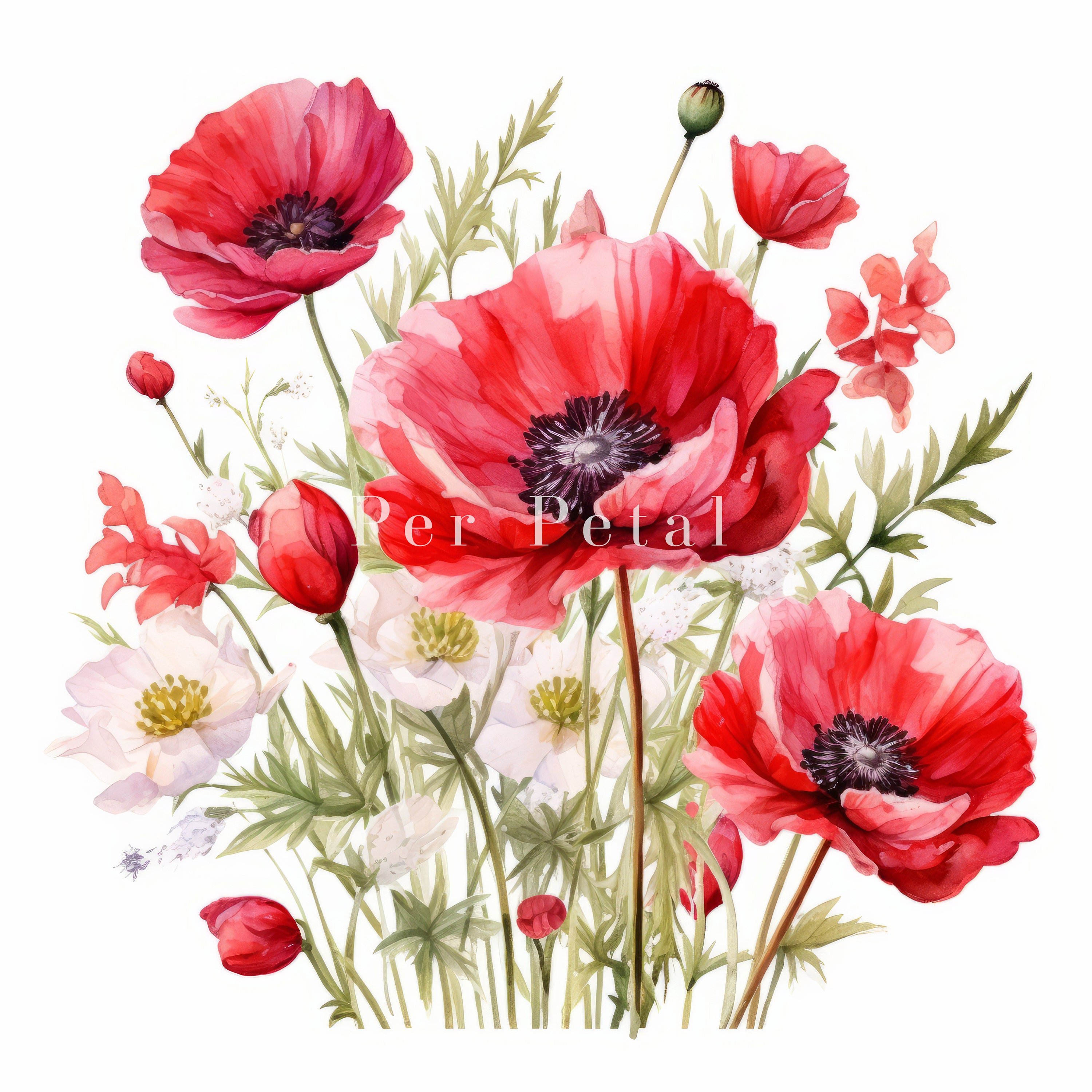 9 Watercolor Flower Clipart Red Peony Flowers Clipart Card - Etsy