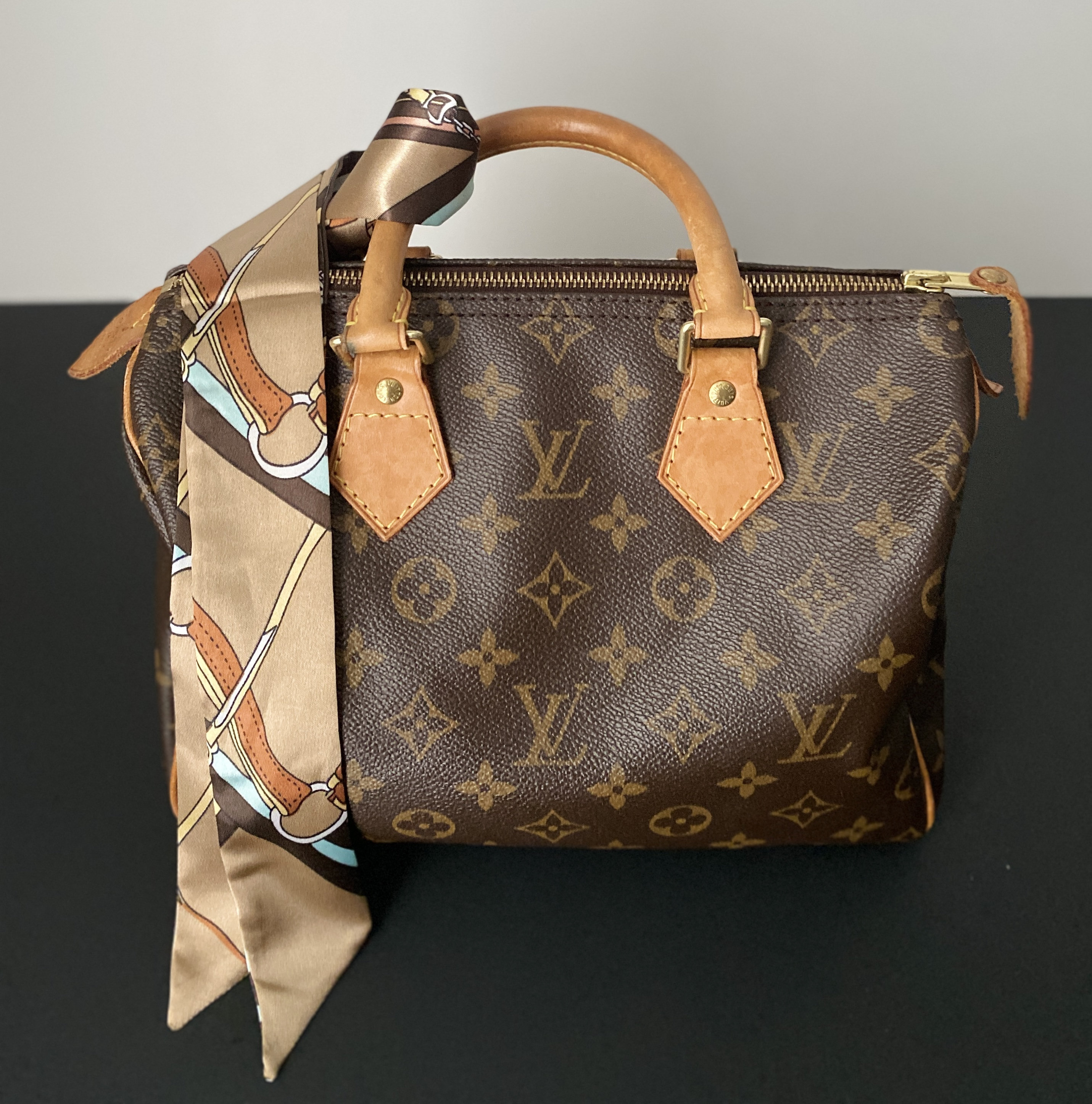 How To Tie Purse Twilly Scarf on Louis Vuitton Speedy 30 Tutorial 