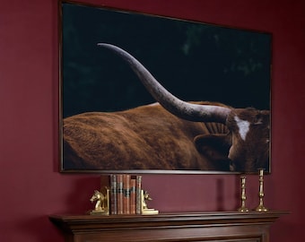 Texas Longhorn Cow Canvas Wall Art, Framed Farmhouse Animal Print Home Decor