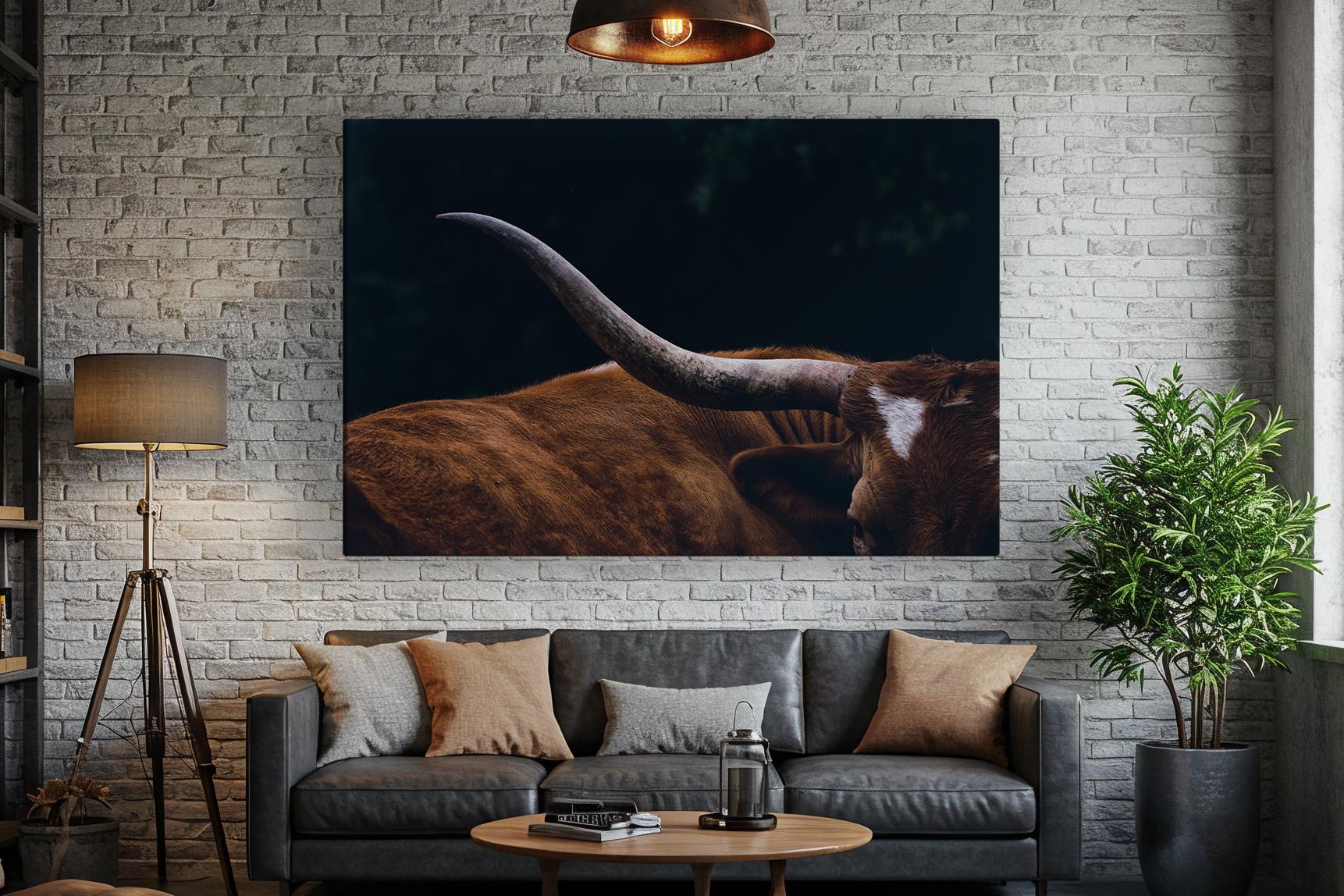 Buy Texas Longhorn Cow Canvas Wall Art, Framed Cow Print Home
