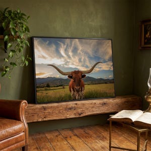 Longhorn Cow Canvas Print: Texas Farmhouse Wild West Wall Decor (Ready to Hang)