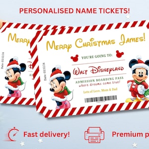 Personalised Christmas Disneyworld Ticket Theme Park Surprise Reveal Ticket, Paris Florida Tokyo, Christmas Gift Disneyland Boarding Pass