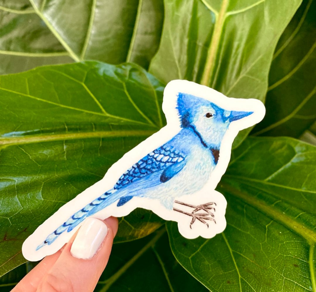 Bird Sticker, Bluebird Sticker, Bluejay Sticker, Animal Sticker ...