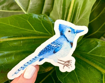 Bird Sticker, Bluebird Sticker, Bluejay Sticker, Animal Sticker, Ornithology, Animal Science, Animal Art, Bird Art
