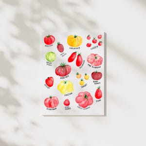 Tomato Print, Watercolor Tomato Painting, Heirloom Tomatoes, Watercolor Painting, Painting, Summer Tomatoes, Tomato art, Summer Tomatoes
