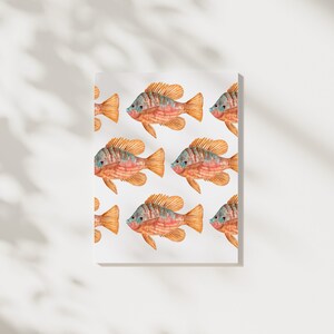 May include: A repeating pattern of watercolor illustrations of orange, red, and blue fish on a white background.