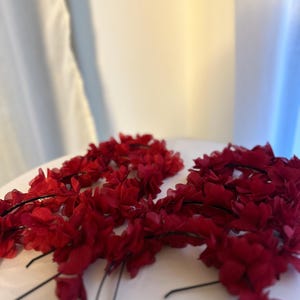 Op de afbeelding: Een set van zes rode bloemenhaarwensen met zwarte draadstengels. De kransen zijn gemaakt van stoffen bloemen en zijn perfect om elke haarstijl een vleugje whimsy te geven.