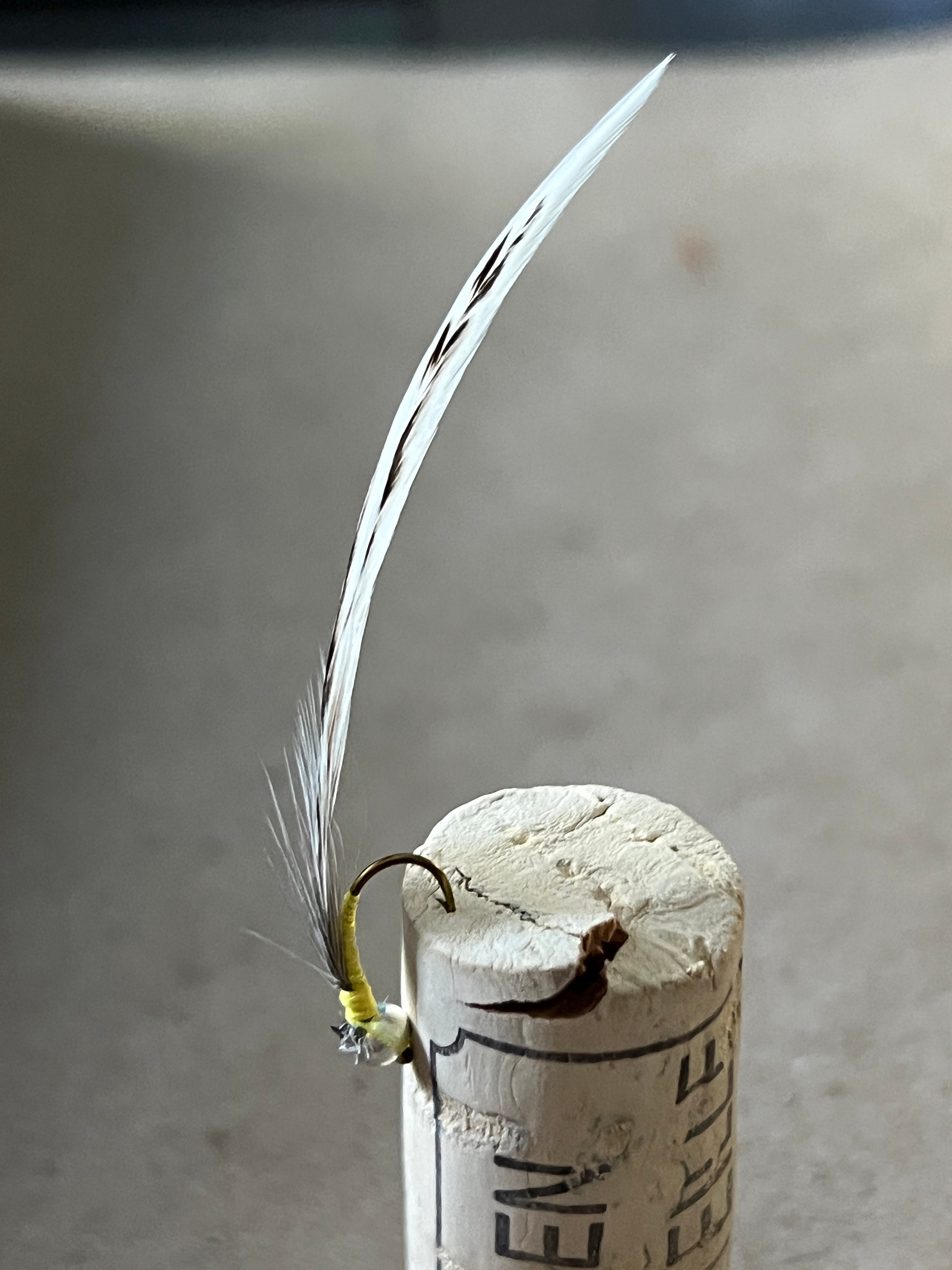 6 Handmade Dry and Wet Flies Plus Materials and Instructions Etsy