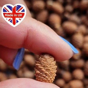 May include: A small, brown pine cone held between two fingers. The cone is about 2.5 cm tall and has a pointed tip. The background is a blurry image of many other pine cones.
