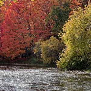 Nature Photography