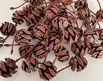 100 Dawn Redwood cones for crafts, natural decor, wedding decor, christmas and fall decor, reception decor, florist supplies mini pine cones
