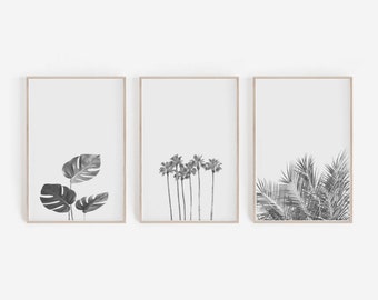 Set of 3 Prints, Palm Leaves Print, Palm Trees Print, Monstera Print, Black & White Nature Prints, Palms Prints Unframed