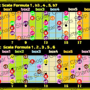 May include: A guitar fretboard diagram showing the positions of the notes in the minor and major pentatonic scales. The diagram is color-coded to show the different notes in each scale. The text "Minor Pentatonic Scale Formula 1, b3, 4, 5, b7" and "Major Pentatonic Scale Formula 1, 2, 3, 5, 6" is displayed at the top of the diagram.