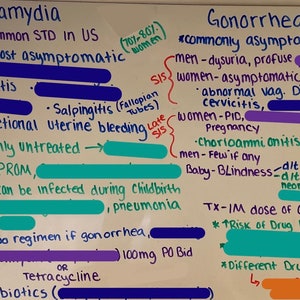 May include: A white board with handwritten notes about Chlamydia and Gonorrhea, two common sexually transmitted infections. The notes include information about symptoms, treatment, and complications. The notes are written in blue, green, purple, and orange ink.