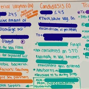 May include: A white board with handwritten notes about bacterial vaginosis, candidiasis, and trichomoniasis. The notes include symptoms, treatments, and risk factors for each condition.