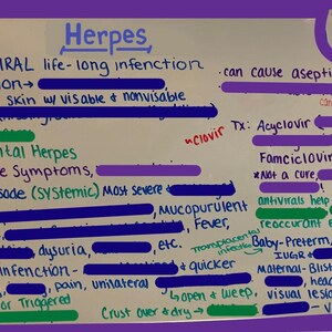 May include: Handwritten notes on a white background with the title "Herpes" and information about the virus, including symptoms, transmission, and treatment. The notes are written in black, blue, green, and purple ink.