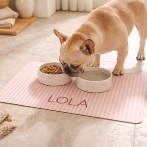 Dog Mats for Food Bowls