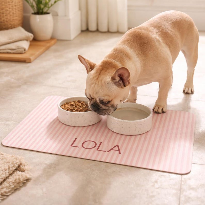 Dog Mats for Food Bowls