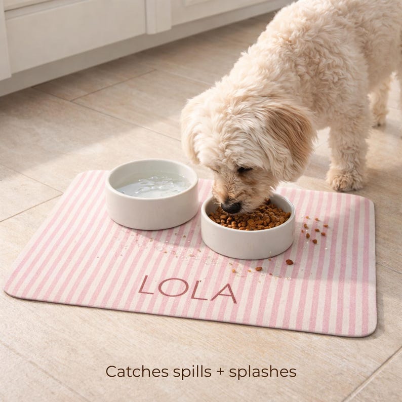 dog essentials