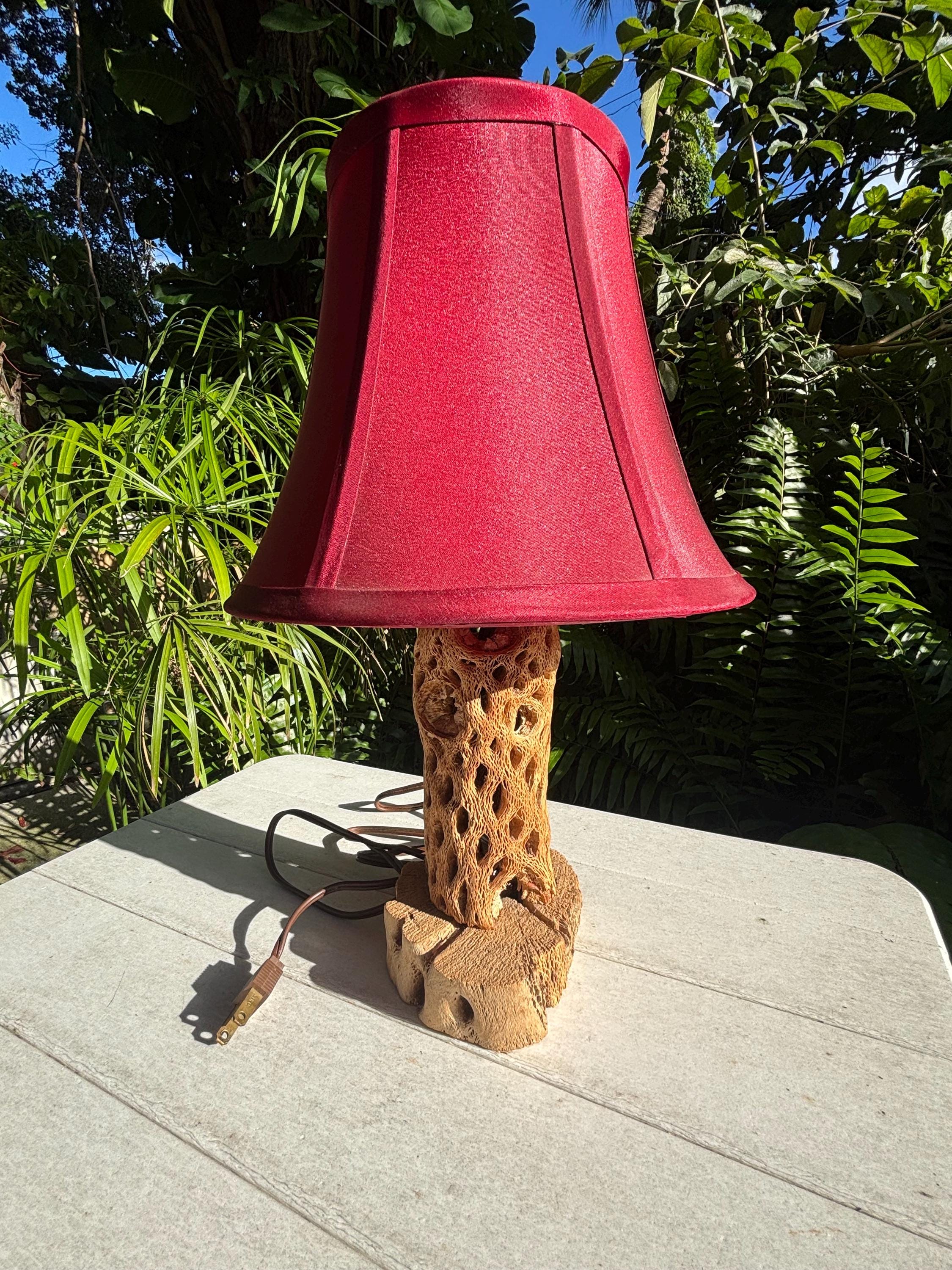 Cholla Cactus Lamp