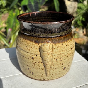 May include: A speckled ceramic jar with a dark brown rim and a carved seashell design. The jar has a tan base with brown speckles and a dark brown top. The seashell is carved into the side of the jar.