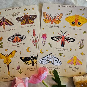 Moth Stickers | Bullet Journal, Planners, Crafts, & Stationery