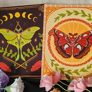 Moth Print | Art, Moths, Art Prints, Wall Decor