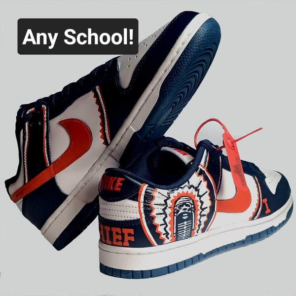 Custom Airbrush Painted Nike Air Force 1 / AF1 / SCHOOL COLORS MASCOT Logo / Any Shoe / Custom Kicks  / Lucid Soles / Teen / Gift / Name