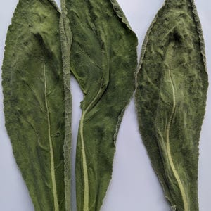 Comfrey  leaves organic  air dried homegrown