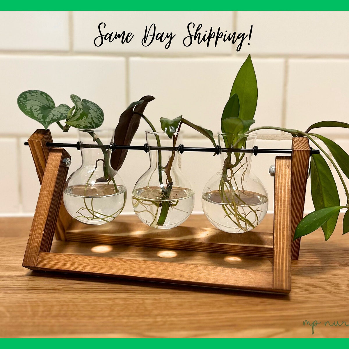 Plant Propagation Station for Plant Lovers Gift Home Decor Unique Plant Stand for Plant Cuttings Housewarming Boho Decor Propagation Vase - Etsy