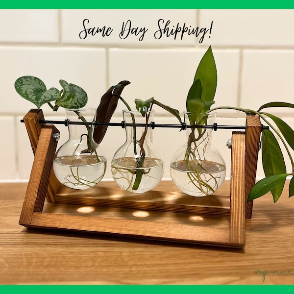 Plant Propagation Station for Plant Lovers Gift Home Decor Unique Plant Stand for Plant Cuttings Housewarming Boho Decor Propagation Vase