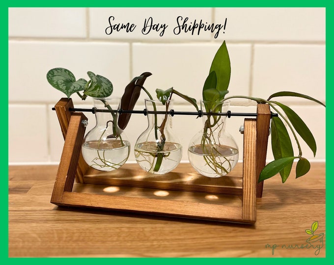Plant Propagation Station for Plant Lovers Gift Home Decor Unique Plant Stand for Plant Cuttings Housewarming Boho Decor Propagation Vase