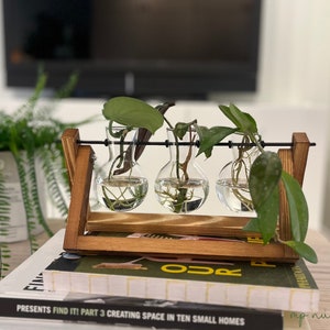 Plant Propagation Station for Plant Lovers Gift Set Plant Mom Home Decor Plant Gift Desk Decor Office Housewarming Decor Dorm Planter Gift