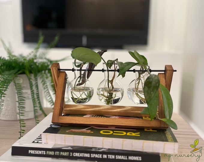 Plant Propagation Station for Plant Lovers Gift Set Plant Mom Home Decor Plant Gift Desk Decor Office Housewarming Decor Dorm Planter Gift