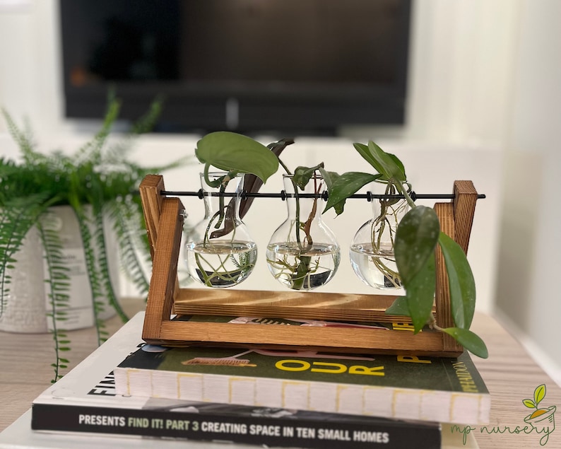 Plant Propagation Station for Plant Lovers Gift Set Plant Mom Home Decor Plant Gift Desk Decor Office Housewarming Decor Dorm Planter Gift