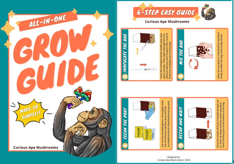 Mushroom Allinone Grow Bag Presterilized CVG Etsy Australia