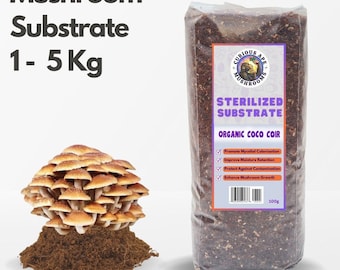 Sterilised Substrate CVG Uncle Bens Mushroom Bag (1-5 KG)