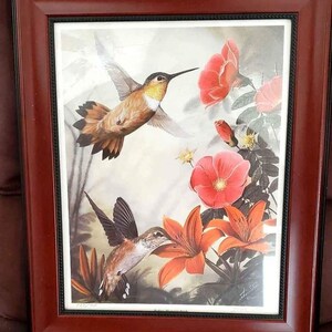 Limited edition rufous hummingbird John Stone print