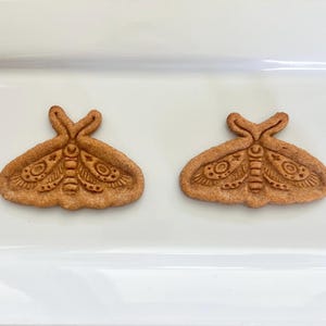 Moths
