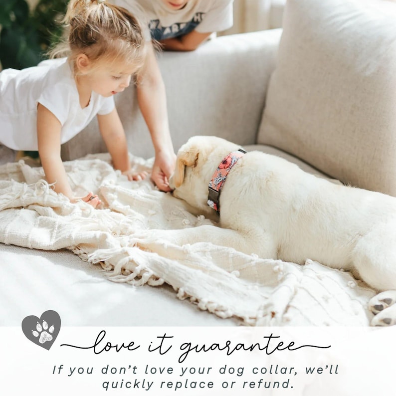 May include: A cream-colored Labrador Retriever wearing a floral dog collar with pink and red flowers. A child and an adult are interacting with the dog on a cream-colored blanket. The text "love it guarantee" is at the bottom.