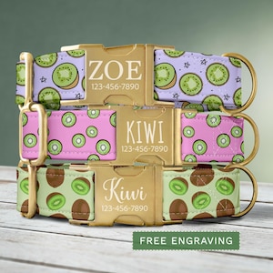 Kiwi Dog Collar, Personalized Tropical Fruit Dog Collar with Name, Custom Summer Dog Collar & Leash, Cute Girl Dog Collar Adjustable SEC-059